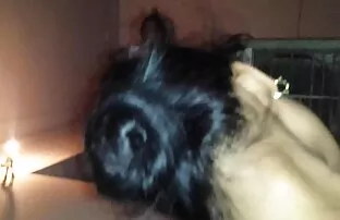 XXX Orgy成熟したドイツのインガー 無 修正 塾 女